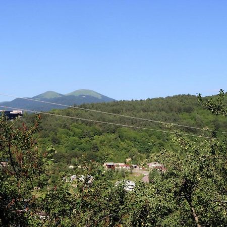 Комплекс Dilijan Town Inn Экстерьер фото